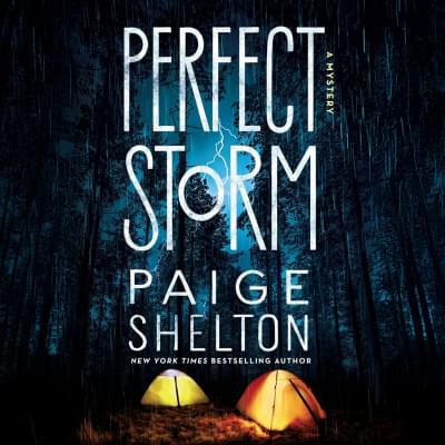 Perfect Storm: Book 6 Аудиокнига