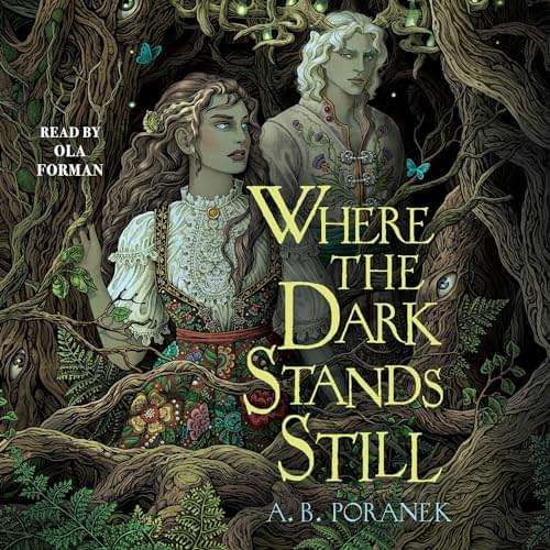 Where the Dark Stands Still Аудиокнига