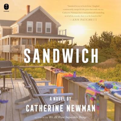 Sandwich: A Novel Аудиокнига 