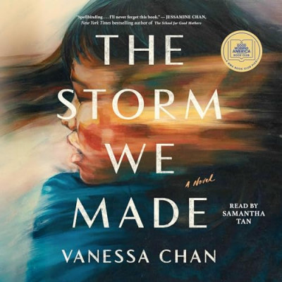 The Storm We Made: A Novel 