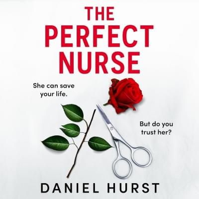 The Perfect Nurse Аудиокнига 