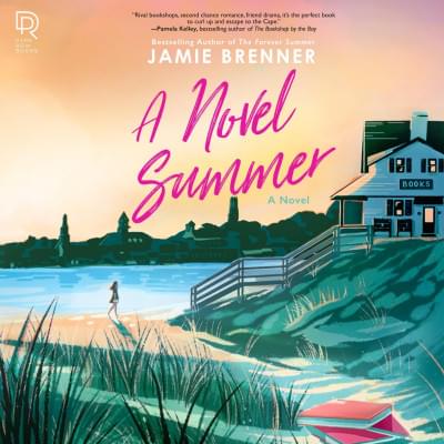 A Novel Summer Аудиокнига