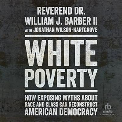 White Poverty Аудиокнига