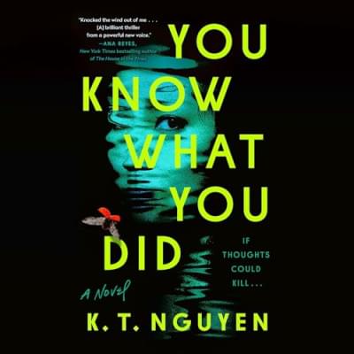 You Know What You Did: A Novel Аудиокнига