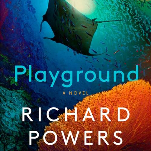 Playground: A Novel Аудиокнига