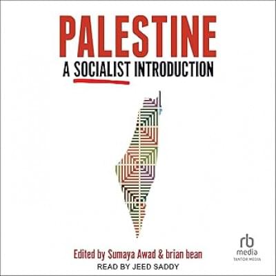 Palestine: A Socialist Introduction Аудиокнига