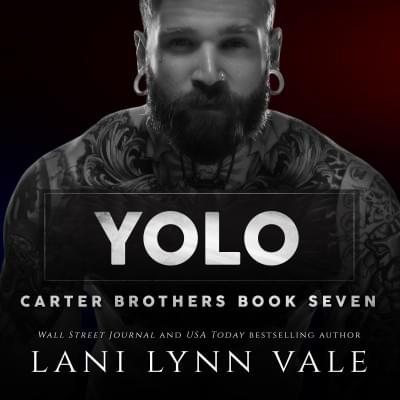 YOLO: Carter Brothers Аудиокнига 