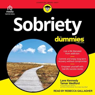 Sobriety for Dummies Аудиокнига