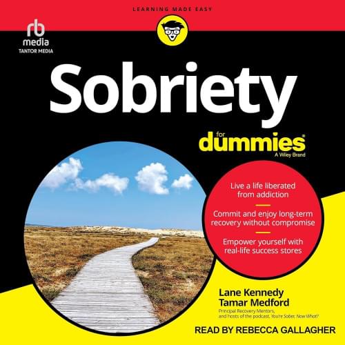 Sobriety for Dummies Аудиокнига