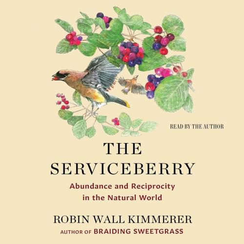 The Serviceberry Аудиокнига