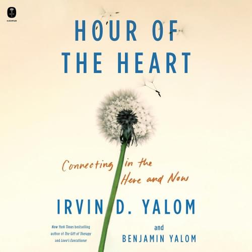 Hour of the Heart Аудиокнига