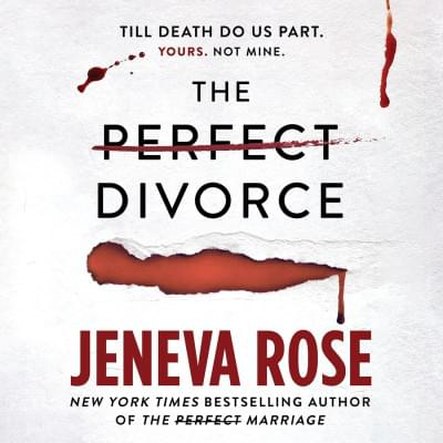 The Perfect Divorce Аудиокнига