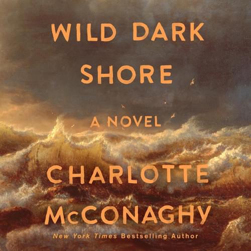 Wild Dark Shore Аудиокнига