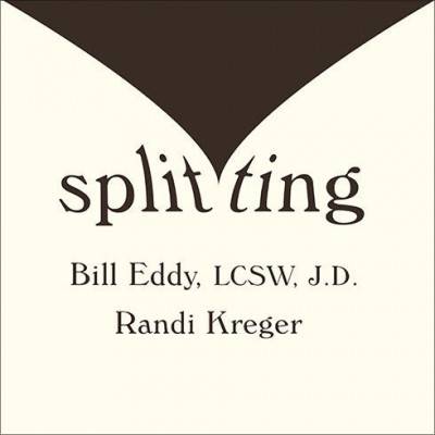 Splitting: Protecting Yourself While Divorcing Someone With Borderline or Narcissistic Personality Disorder