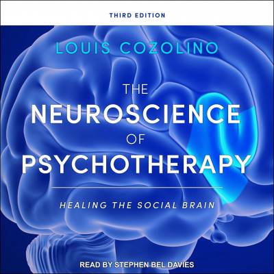 The Neuroscience of Psychotherapy: Healing the Social Brain, Third Edition