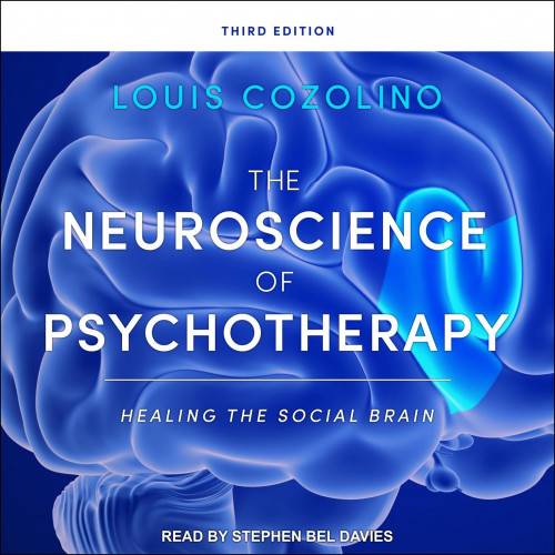 The Neuroscience of Psychotherapy: Healing the Social Brain, Third Edition