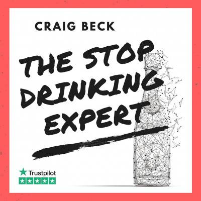 The Stop Drinking Expert: : Alcohol Lied to Me Updated And Extended Edition
