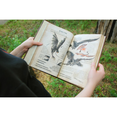 Как связаны драконы и литература?